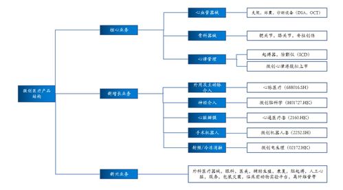 拆家哪家強？上海張江找微創——解碼醫療器械龍頭的市場突圍之路