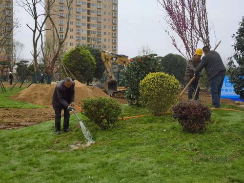 南陽市宛城區(qū)春季園林綠化提升工作成效顯著展現綠化工程新氣象