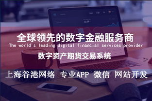 微信開發(fā)公司 匯桔網